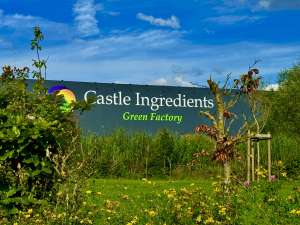Castle Ingredients